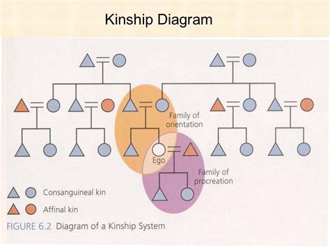  「 Kinship: A World View 」: 現代社会における血縁の再考と、グローバル社会における新しい家族観の提案