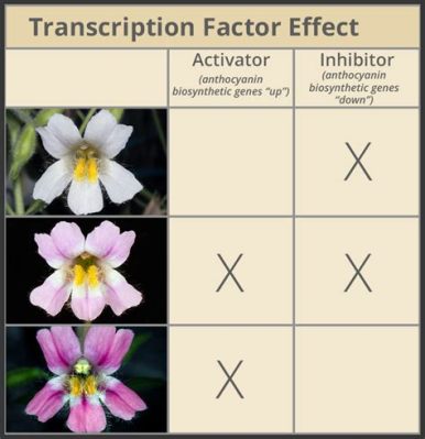  X-Ray Flowers: 遺伝子操作と人間関係の複雑な織り成す物語